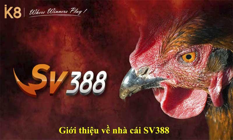 Đá gà SV388